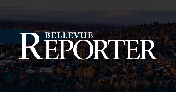 Energize Eastside critics say PSE must follow federal rules to justify new line