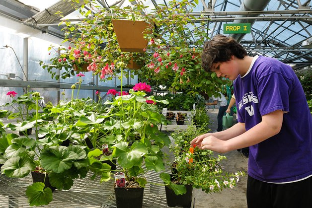 Interlake High School's horticulture department will be putting on a plant sale starting Friday