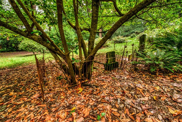 Newcastle cemetery has been overgrown and vandalized. A new grant would help preserve and maintain it.