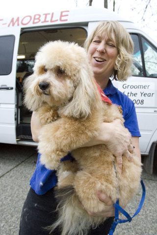 'Joey' comes out with a new sparkle after groomer Michele Schuman worked her magic.