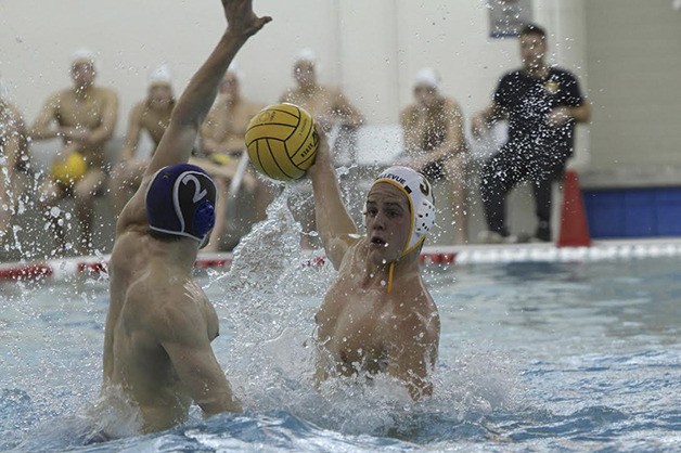 Bellevue Wolverines senior Marco Stanchi will continue his water polo career at Stanford University in Palo Alto