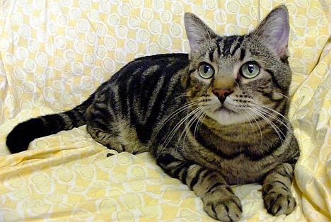 Two-year-old Lars is curious