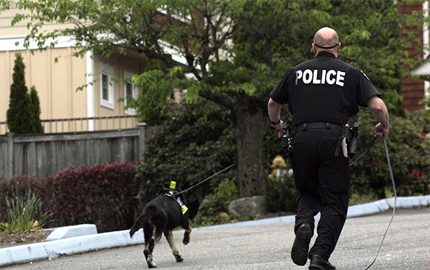 A Bellevue Police officer follows a K-9 unit up Southeast 40th Place as it attempts to locate a robbery suspect who struck the nearby U.S. Bank in Factoria.