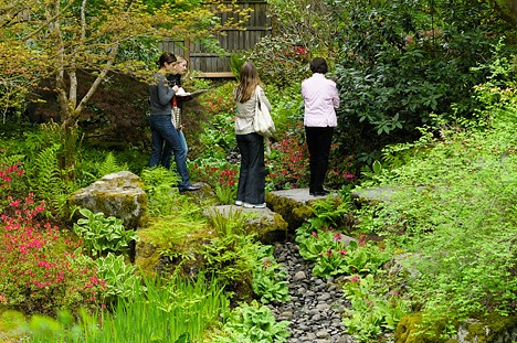 Grant To Upgrade Bellevue Botanical Garden Database Bellevue