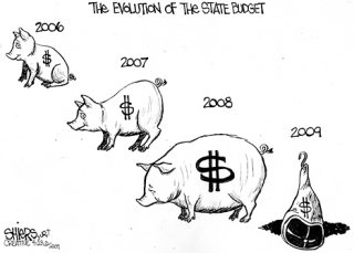 The evolution of the state budget