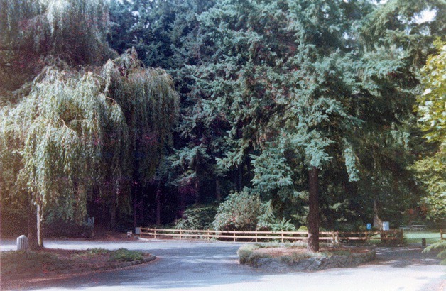 Killarney Glen Park in 1989.