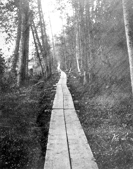 Evergreen Point Road before 1916.