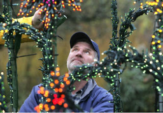 Tom Clark sets up the holiday lights at the Bellevue Botanical Garden on Tuesday
