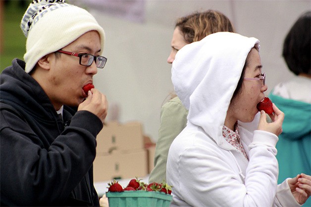 This year's Bellevue Strawberry Festival has the berries