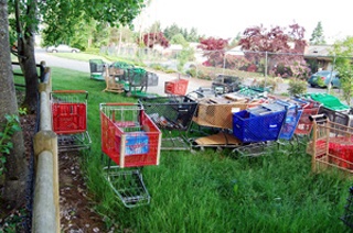 Abandoned shopping carts pile up in a Bellevue neighborhood