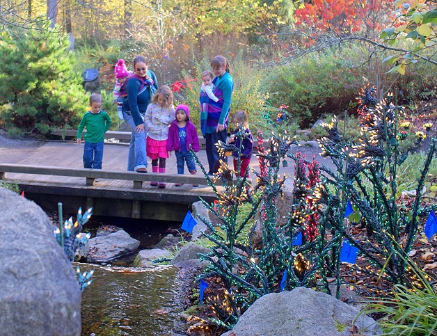 Bellevue Botanical Garden Preparing For Garden D Lights Bellevue