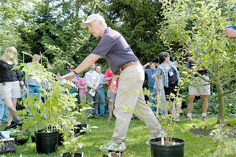 Learn how to turn your yard into wildlife habitat with Woodland Park Zoo's Backyard Habitat workshop and Butterflies and Bees course.