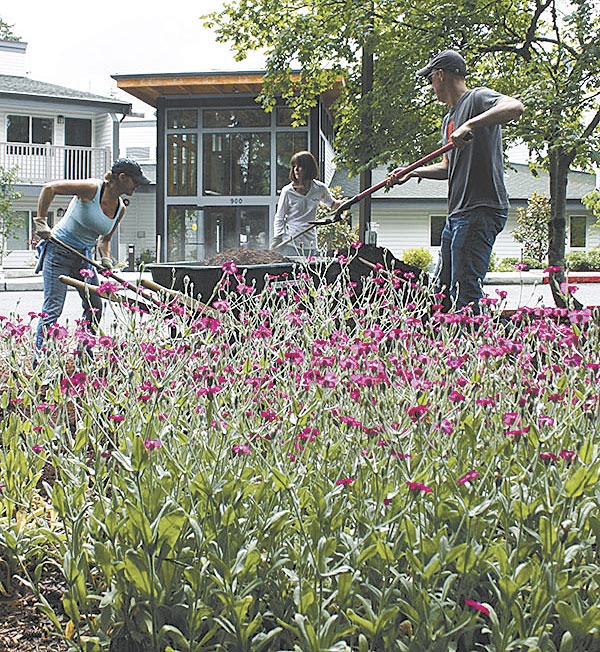 Employees from Windermere Real Estate donated their time June 21 to participate in a number of community service projects around the Northwest as part of their annual 'Community Service Day.'