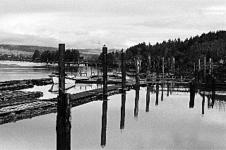 Steven Windell's award-winning photographs will be shown at Omega Photo during February.