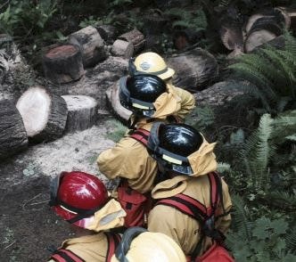 A number of Bellevue firefighters underwent wildfire training near Carnation this week. A hot