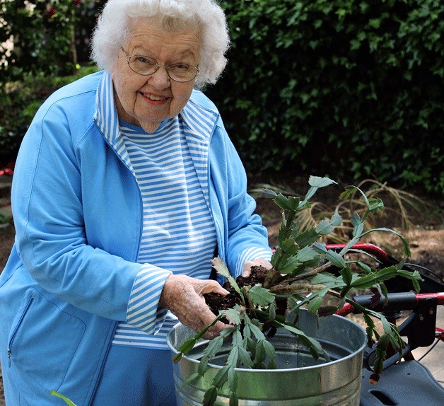 Digging a sunny day Lois Kester takes advantage of a sunny day May 7 to repot some plants. Kester was one of several members of the Gardening Committee at Pacific Regent to take part in the activity. The facility offers private residents and an array of services to seniors. It is located at 919 109th Ave. N.E. More information is available at www.watermarkcommunities.com.