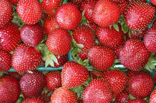 Strawberries will be everywhere on Saturday and Sunday at Crossroads International Park.