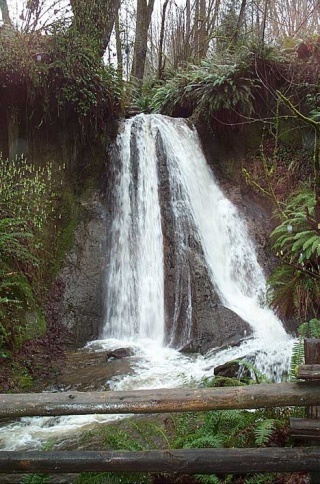 This waterfall is located in the Coal Creek Natural Area