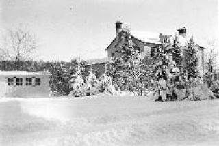 Bellevue Snowscape Heritage Corner