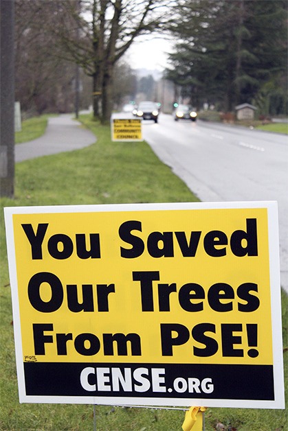 Bright yellow signs line Northeast 148th Avenue and Northeast 8th Street in Bellevue thanking the East Bellevue Community Council for saving the trees along those roads.   Puget Sound Energy has planned a connecting power transmission line along those roads