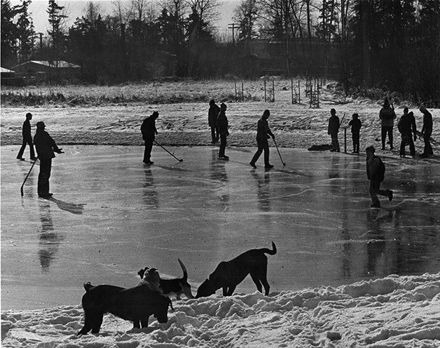 A view of young Bellevue residents and their pets playing on a frozen pond near the entrance Aqua Vista.