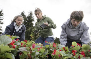 Interlake horticulture students donate their time at the Glendale Fold Club on Thursday