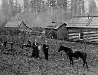 Sarah and Daniel Whitney on their homestead in 1887. The horse was named Charley.