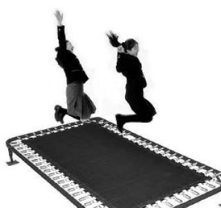 Both the American Academy of Pediatrics or the American Academy of Orthopaedic Surgeons warn against the use of backyard trampolines.