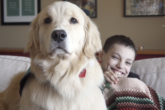 Braden Sanchez and his service dog Linc spend a warm Monday afternoon in their Lake Forest Park home. Linc has helped Braden be more social.