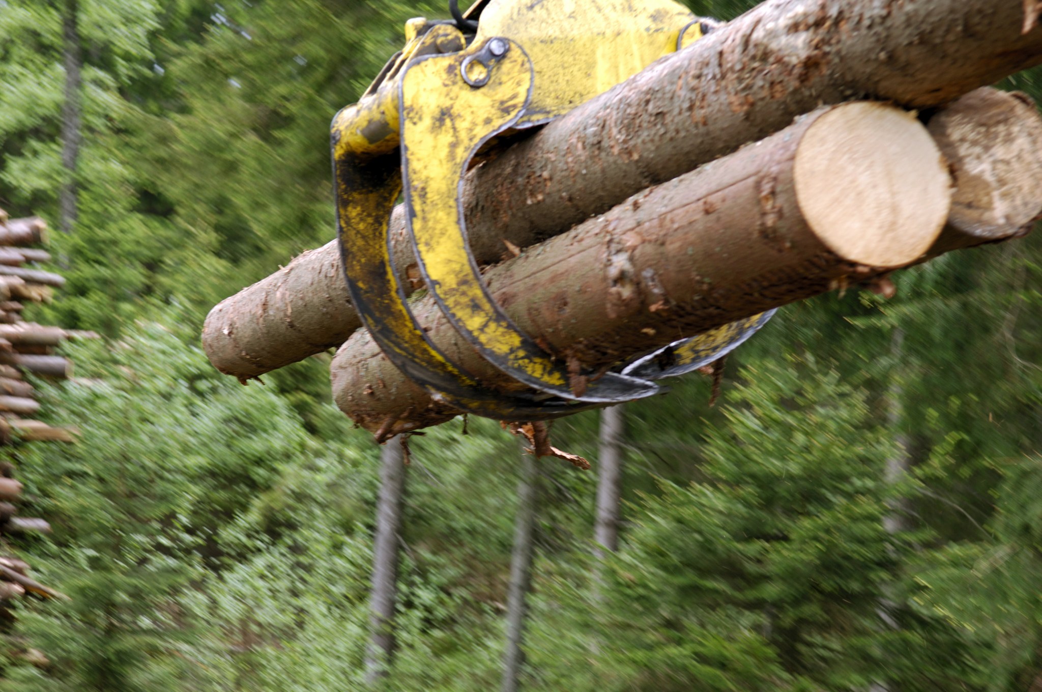 Excavator with timber/contributed photo