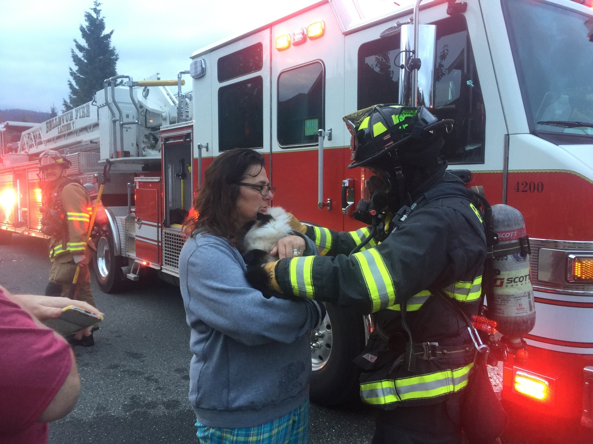 Bellevue fire crews rescue cat from Newcastle house fire