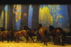 Horses and artists perform during a press screening of Cavalia at Marymoor Park in Redmond on Tuesday