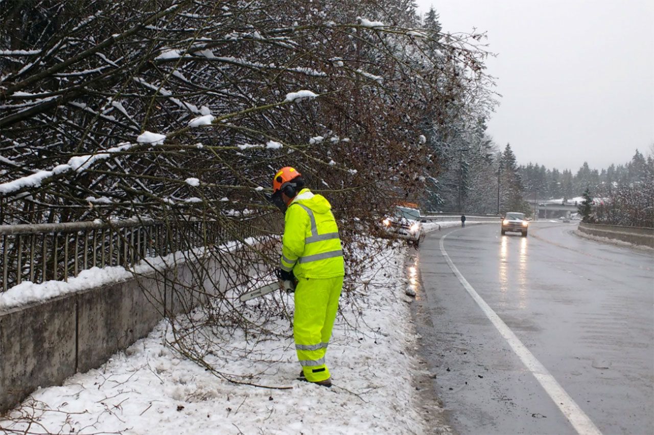 A city of Bellevue employee works to clear a downed tree (Photo courtesy of the Bellevue Transportation Department).