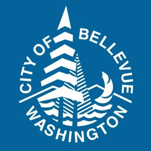 3 candidates face off for Bellevue Council Position 4 | Election