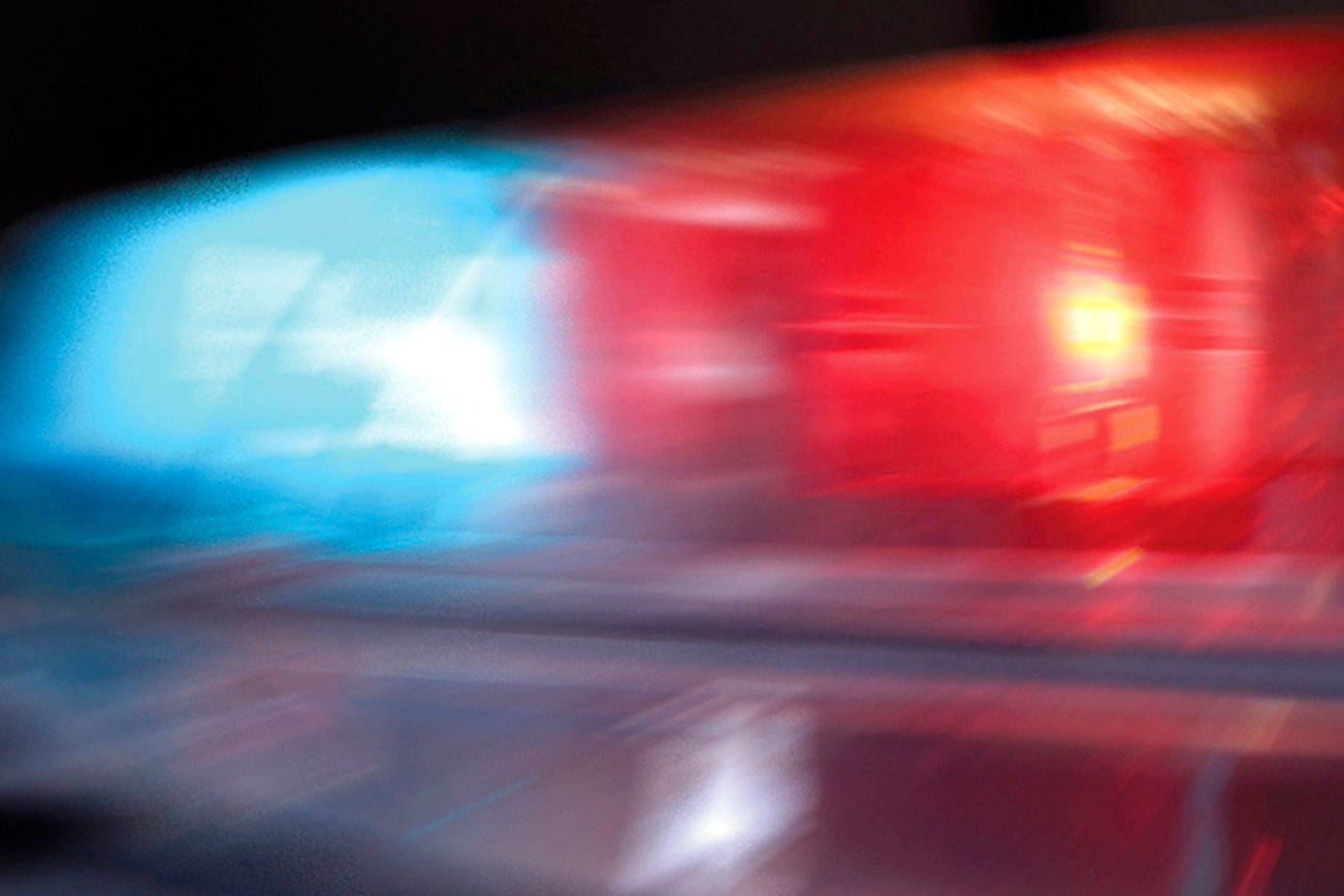 Woman arrested after assaulting elderly mother | Bellevue Police Blotter