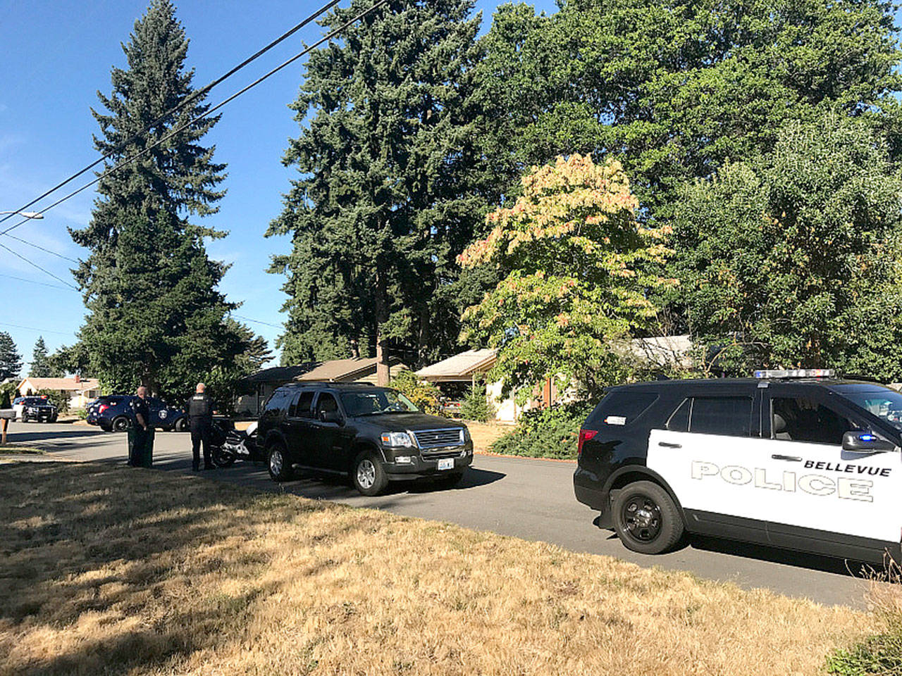 Bellevue police arrest 4 in purse theft