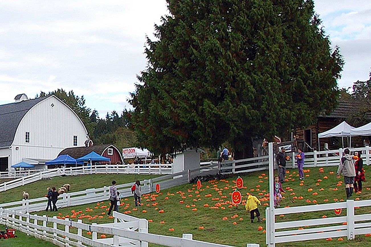 Kelsey Creek Farm Fair features tractors, pumpkins and live music this Saturday
