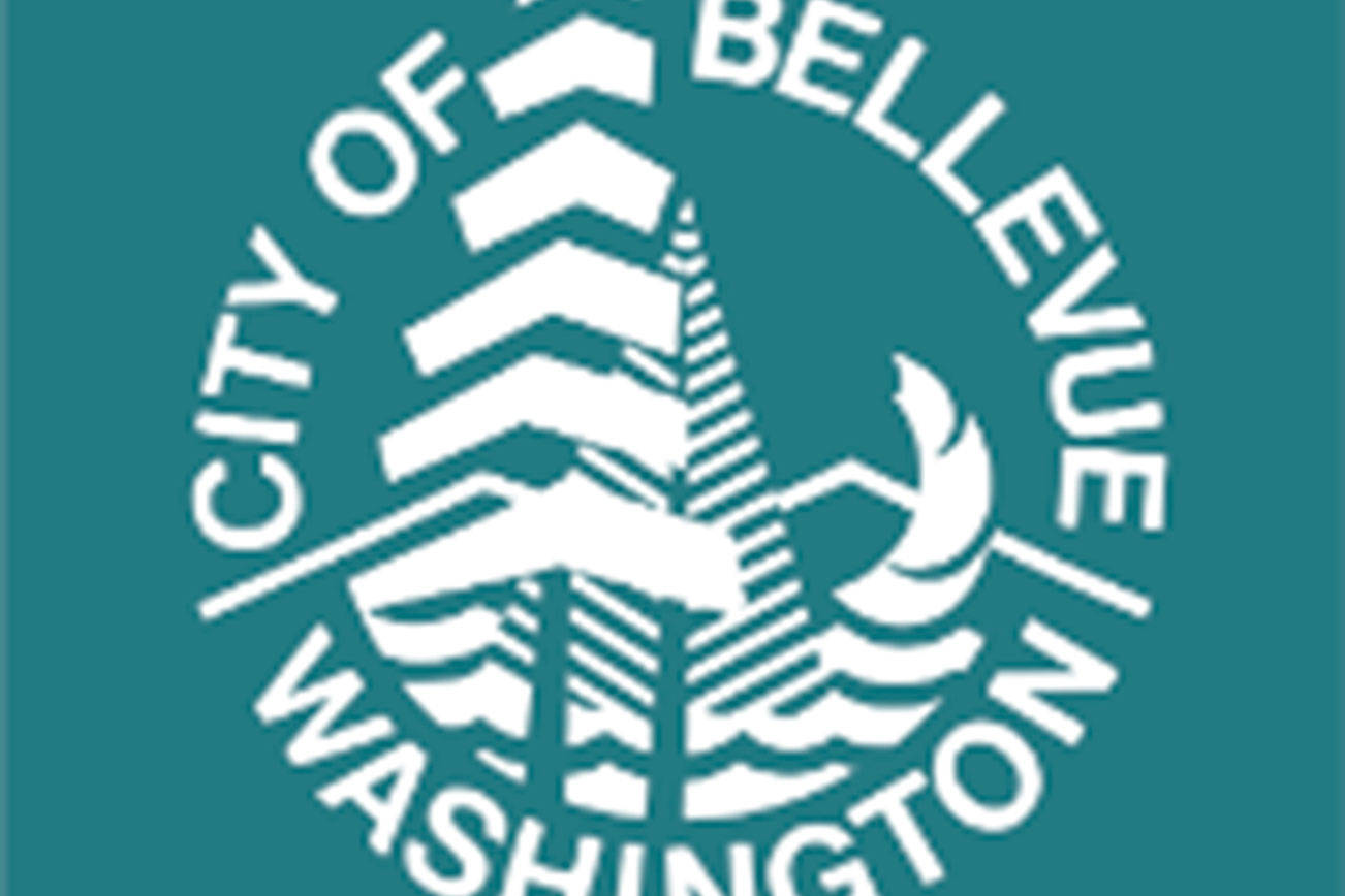 Bellevue City Council discusses revised parking enforcement, illegal dumping