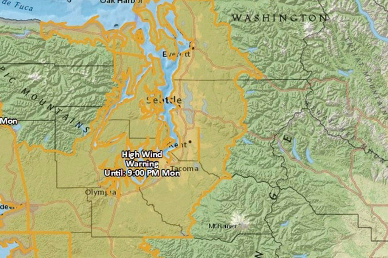 Washington windstorm closes 3 schools, road in Bellevue