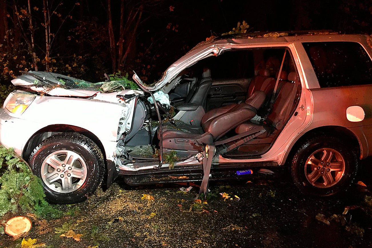 Woman injured Monday from downed tree in Bellevue