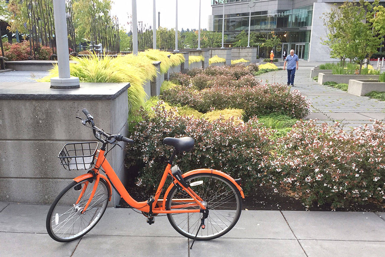 Input sought for demonstration bikeway in Downtown Bellevue