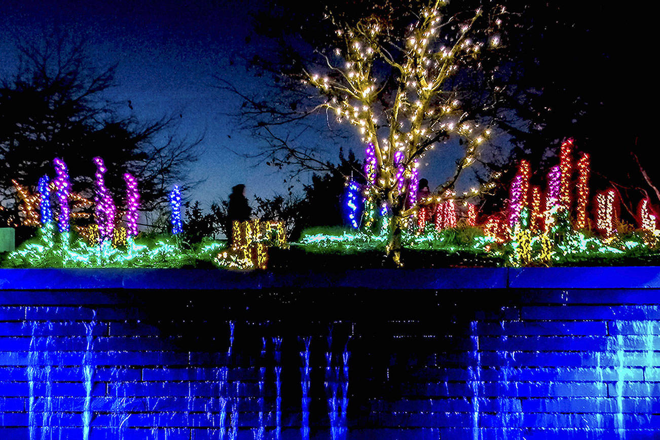 Garden delights with over half million dazzling lights in Bellevue