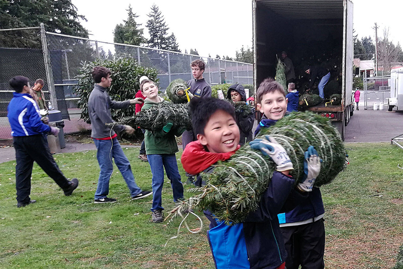 Bellevue Boy Scouts’ Christmas tree lot open through Dec. 20