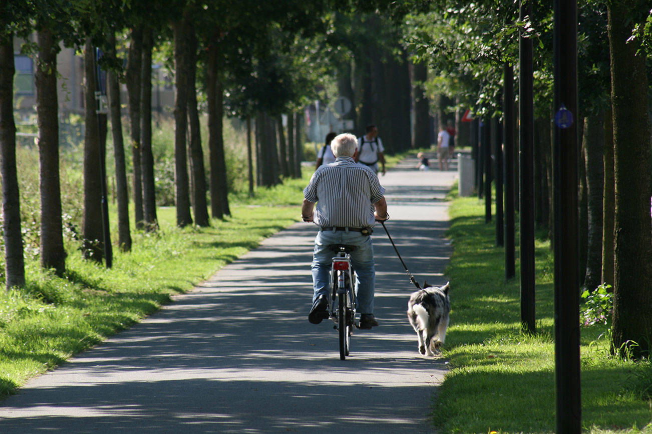 Shedding pounds can soothe joint pain