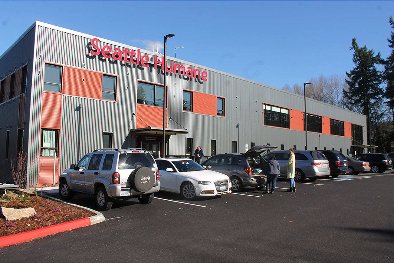 Seattle Humane’s new facility houses more animals, cleaner environment