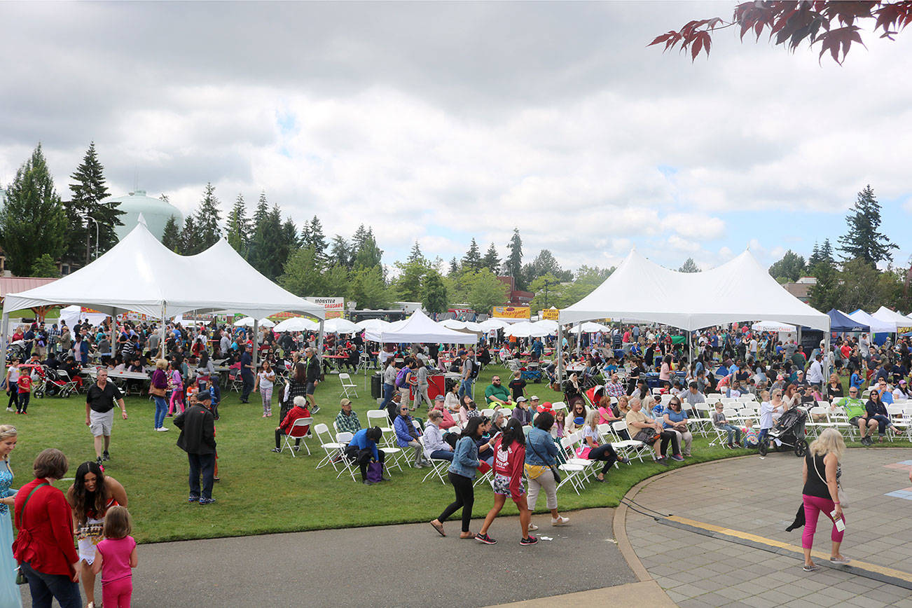 Community comes together for 16th annual Bellevue Strawberry Festival