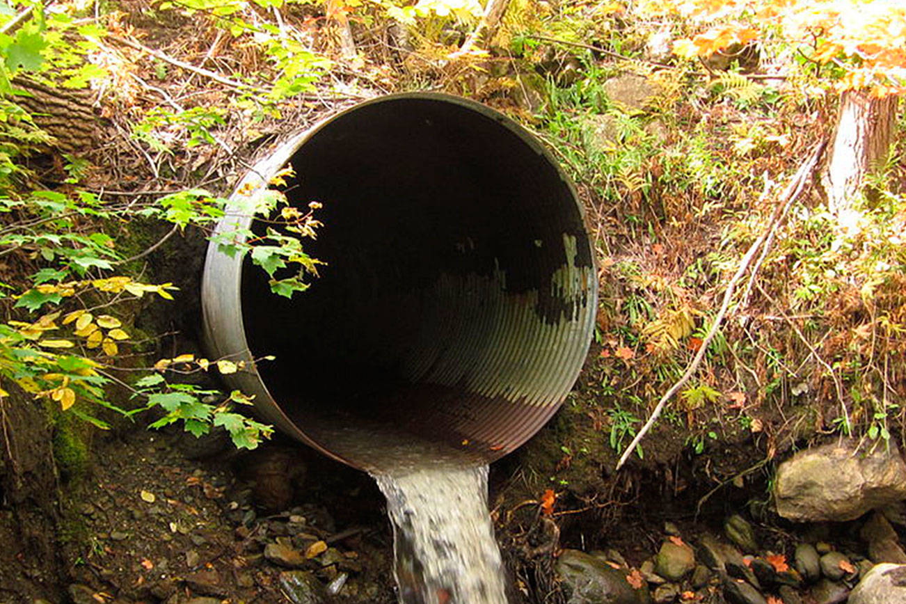 Fish culverts ruling will increase price tag for the state