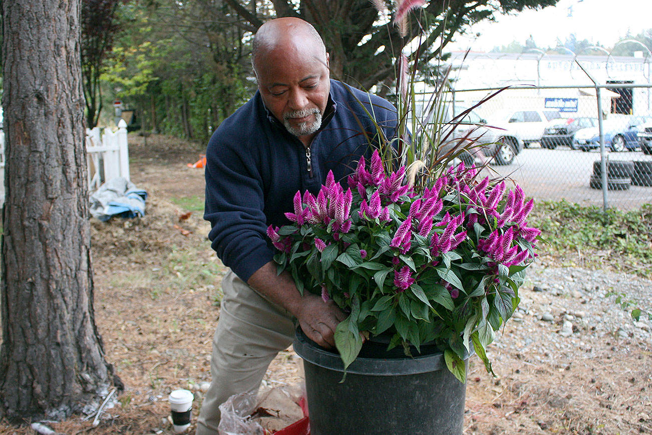 Dale Griffin places donated plants into a pot to place around the new serenity garden at Congregations for the Homeless in Bellevue. Stephanie Quiroz/staff photo
