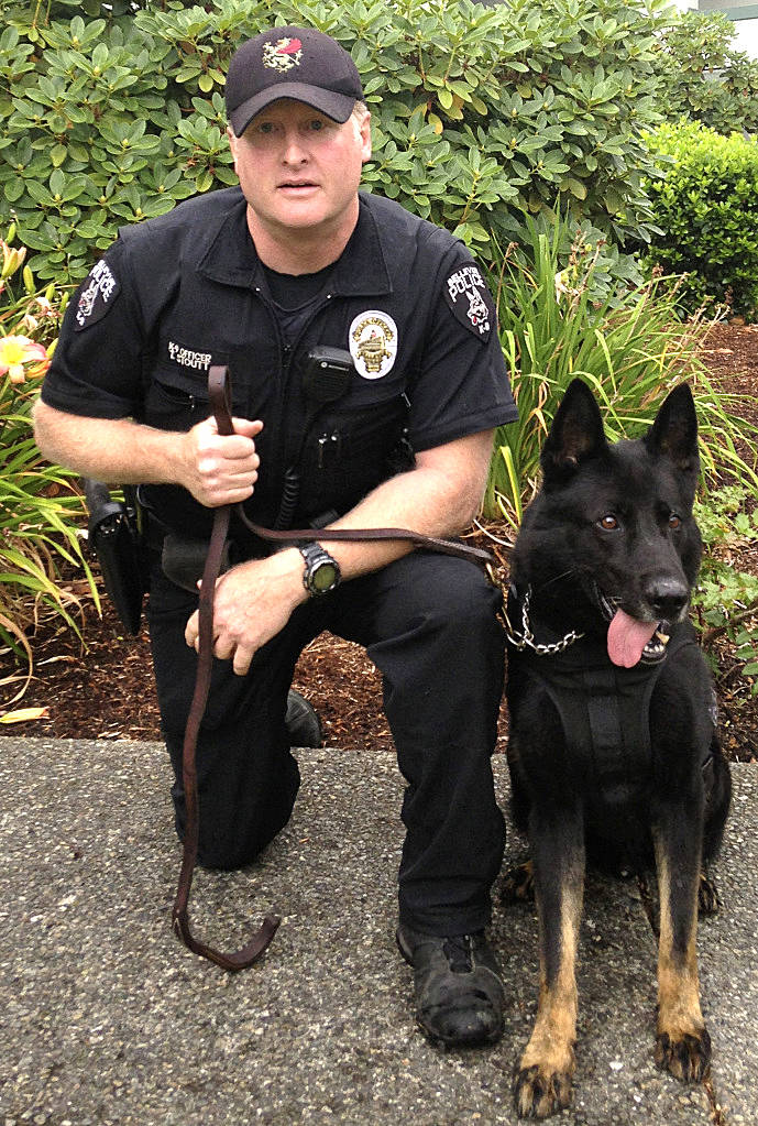 Bellevue Police K-9 Jack, shown here with his handler Officer Tim Stoutt, served the residents of Bellevue for more than seven years. Photo courtesy of the Bellevue Police Department