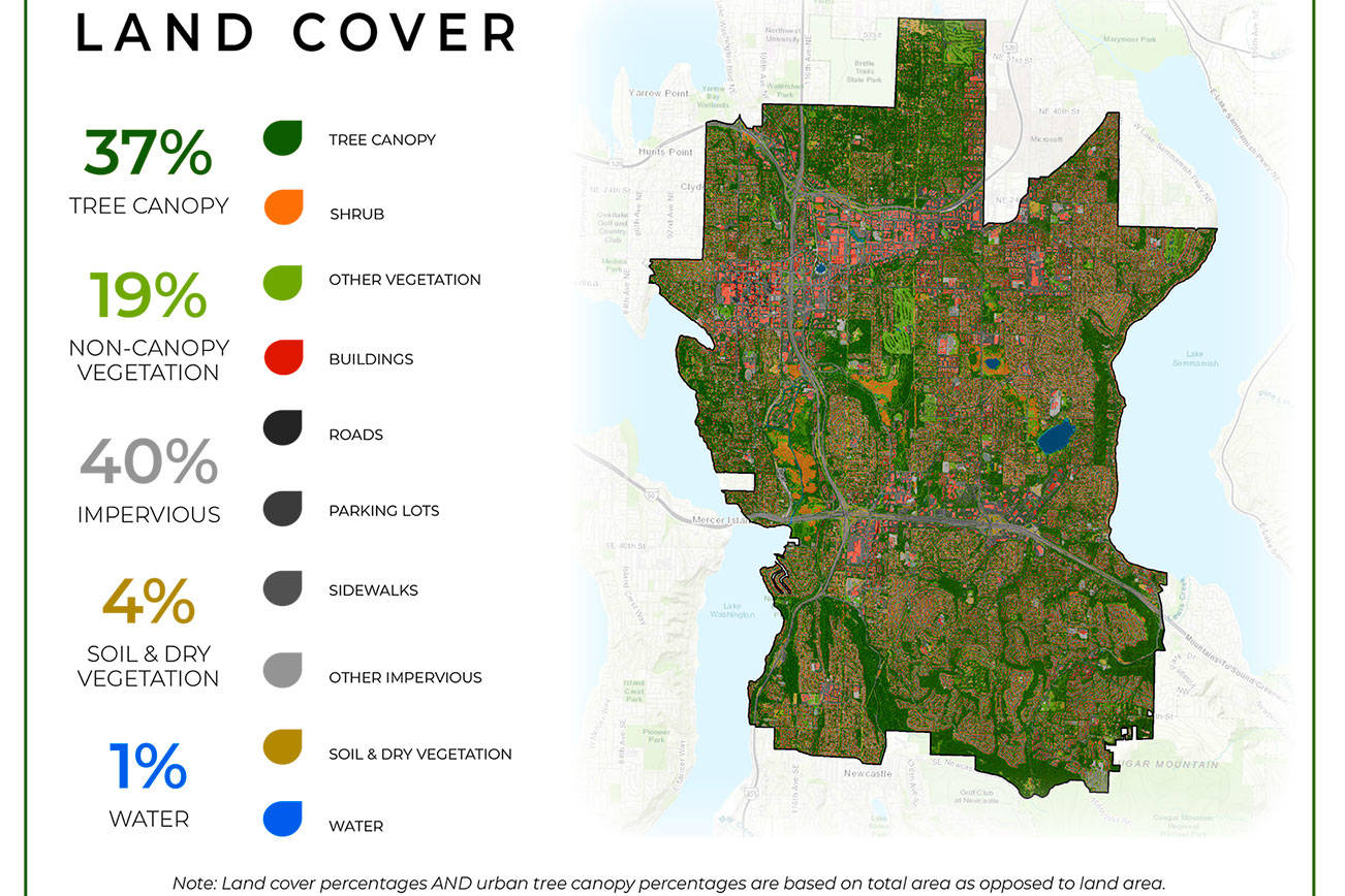 Bellevue completes citywide tree canopy assessment